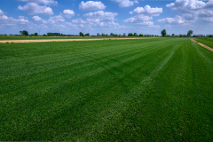 DSC1220