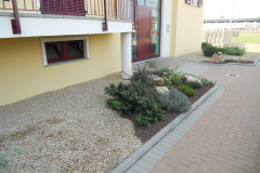 DSCN0367