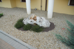 DSCN0368