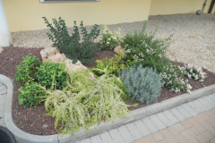 DSCN0371