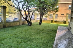 prato-1