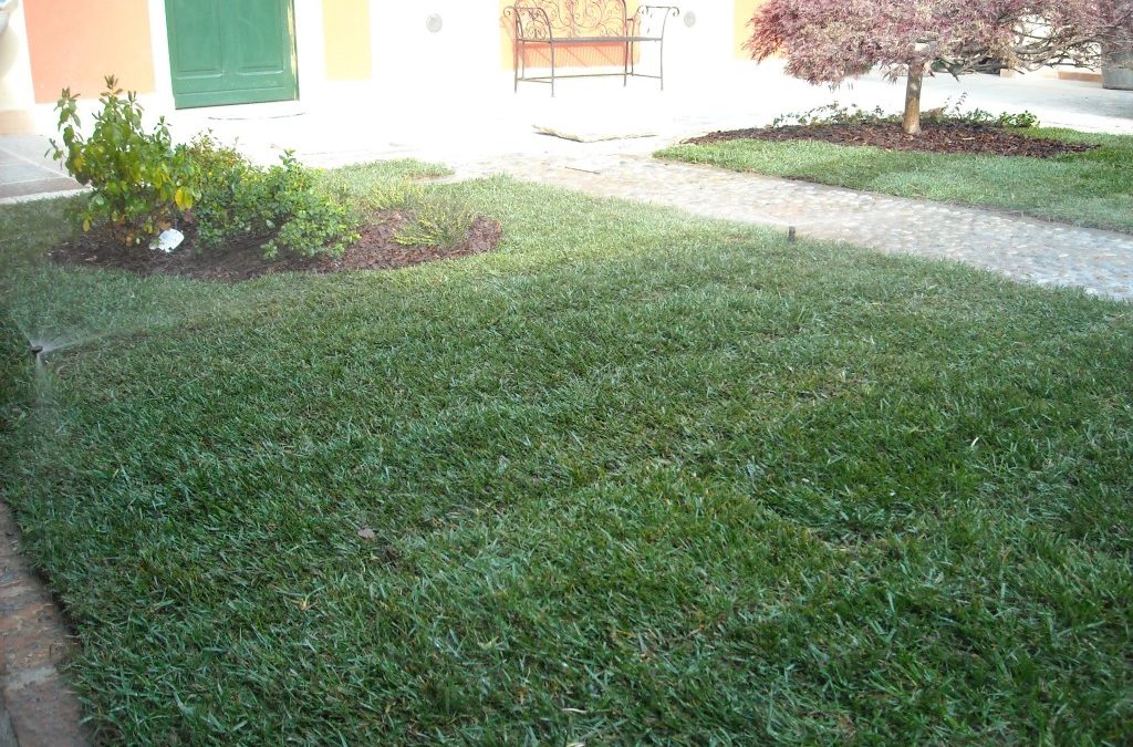 Progettazione giardini a Torino