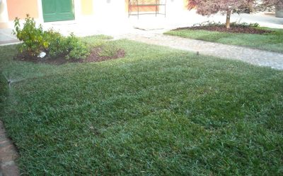 PROGETTAZIONE E REALIZZAZIONE GIARDINI ED AREE VERDI