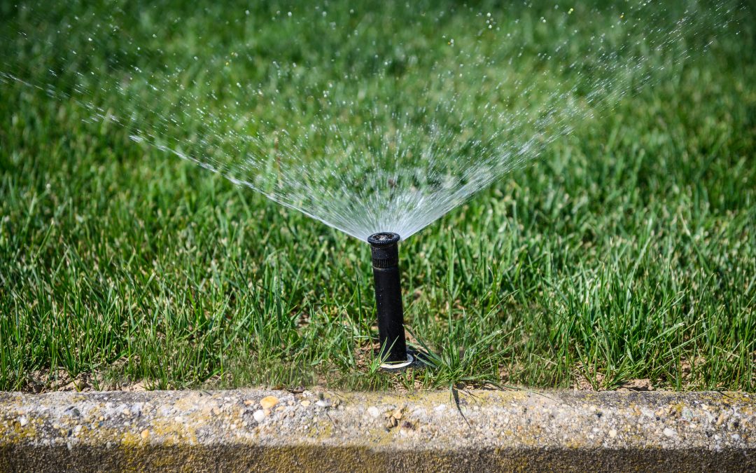 Realizzazione impianti di irrigazione a Torino
